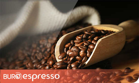 La qualité du café Vergnano en capsule FAP